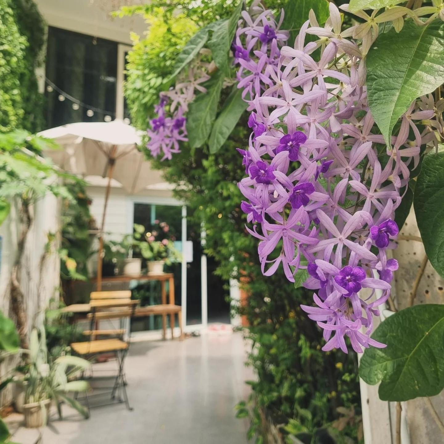 Home16 Sukhumvit16 Bangkok Bagian luar foto